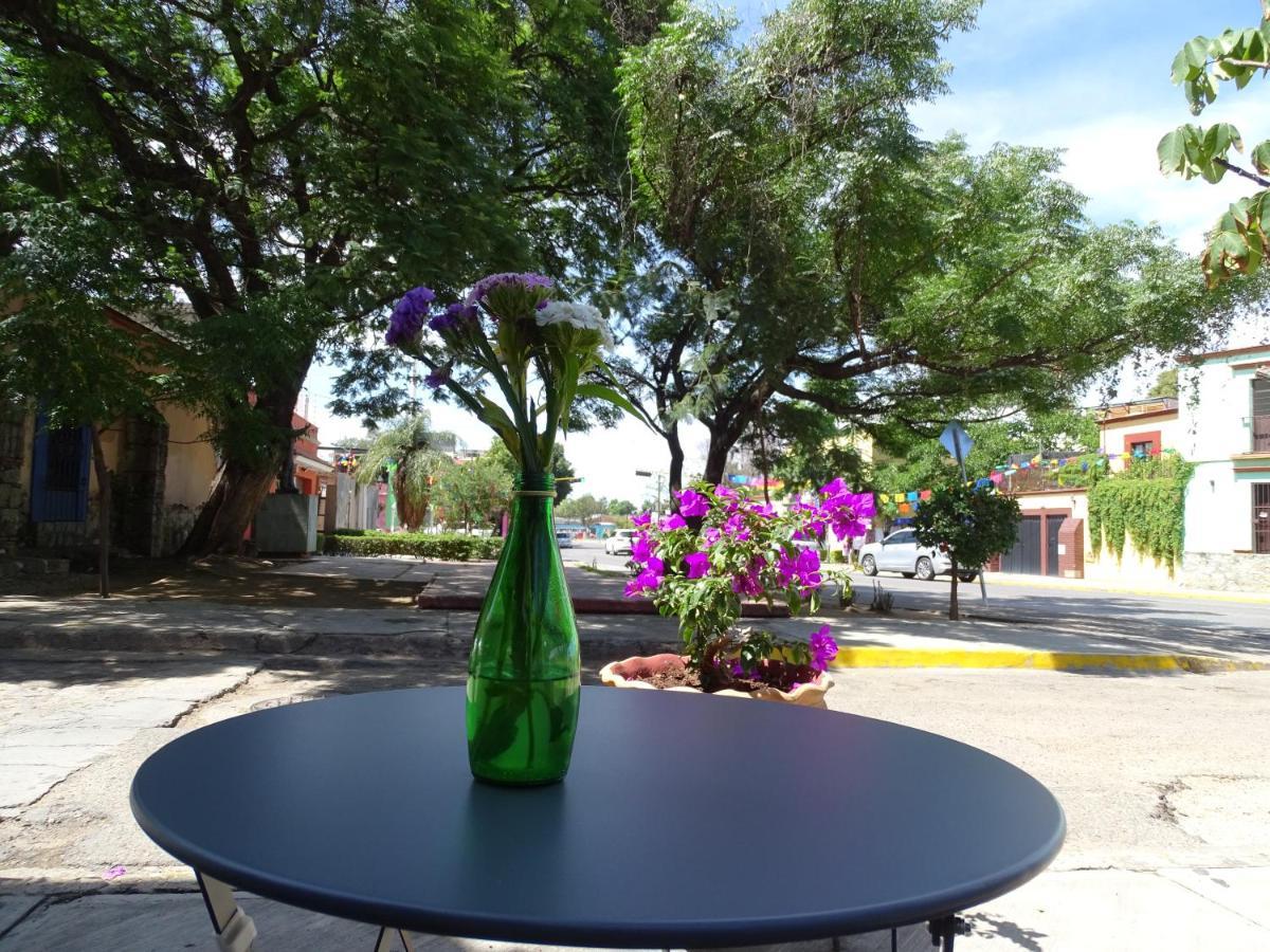 Alojamiento Jalatlaco - Car Rental! Estacionamiento En La Calle Sujeto A Disponibilidad Oaxaca Екстериор снимка